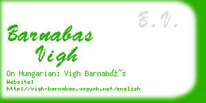 barnabas vigh business card